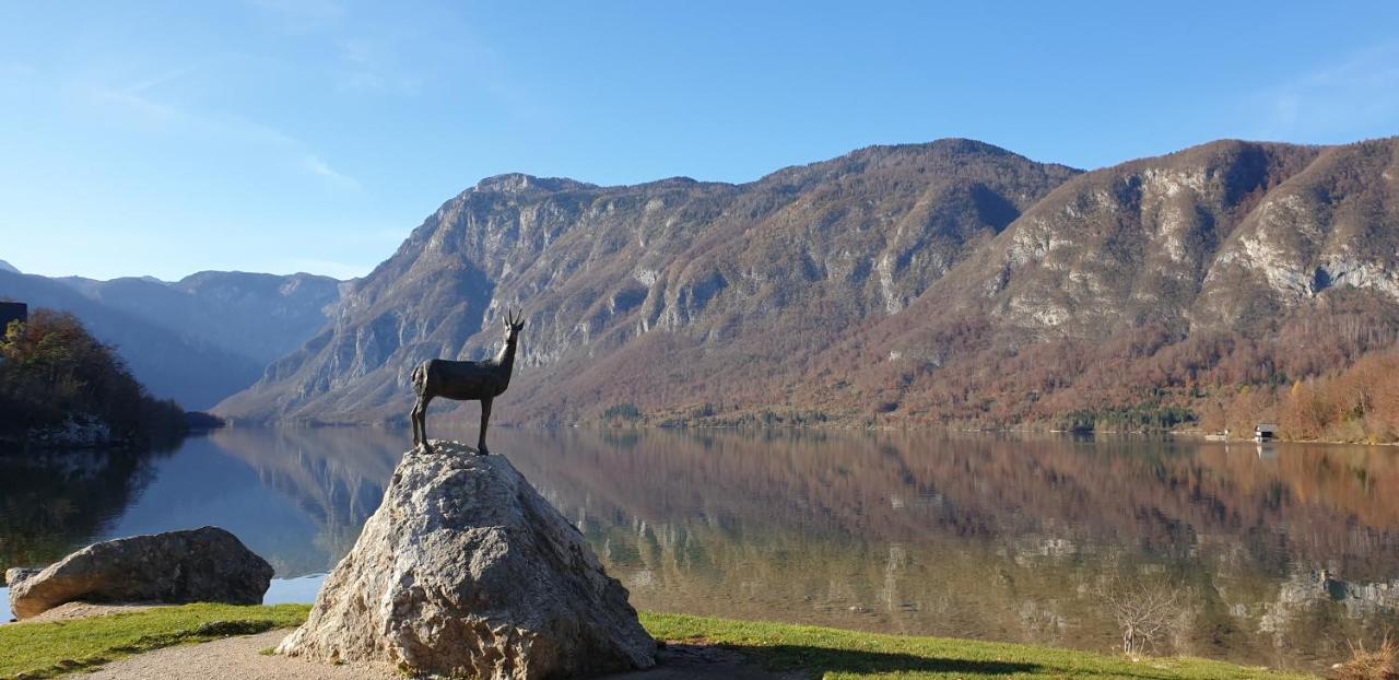Apartment Sonce Bohinj