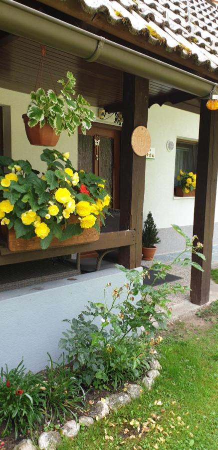 Sonce Apartment
