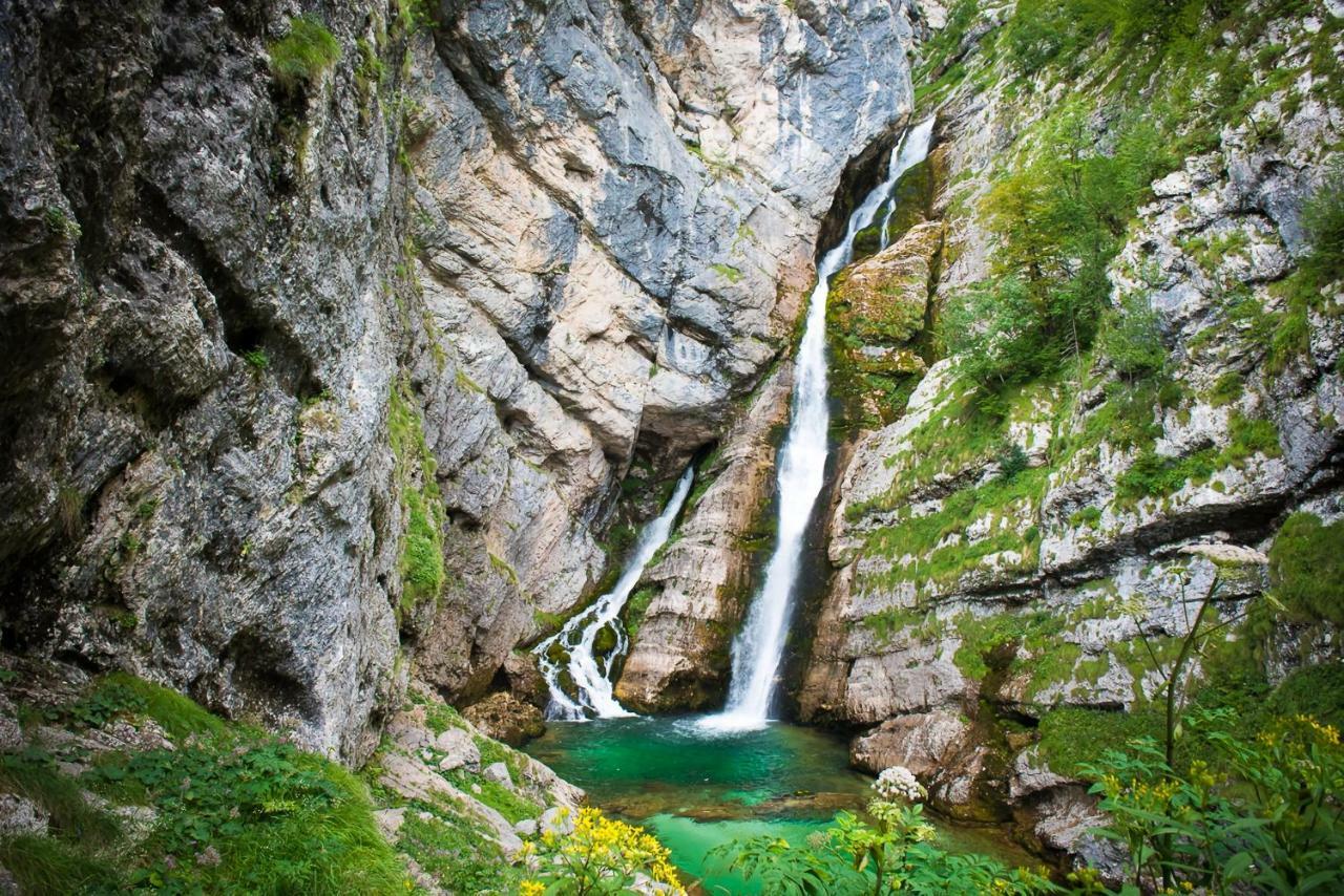 Sonce Apartment Bohinj